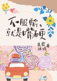退亲后,她成了人人羡慕的四福晋
